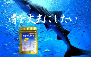 ハイドロキシアパタイト